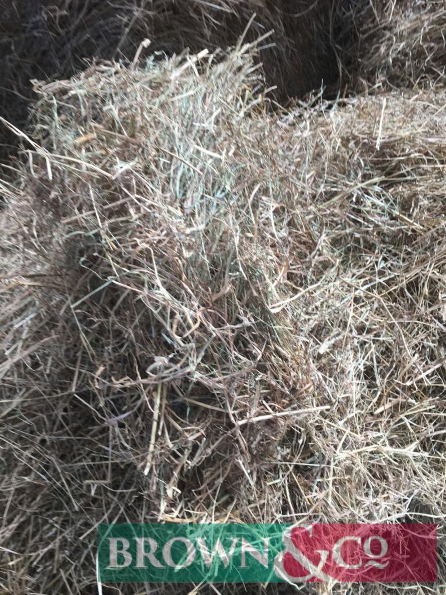 270 No. Mini Hesston Bales of 2019 Cut Hay - Image 6 of 6