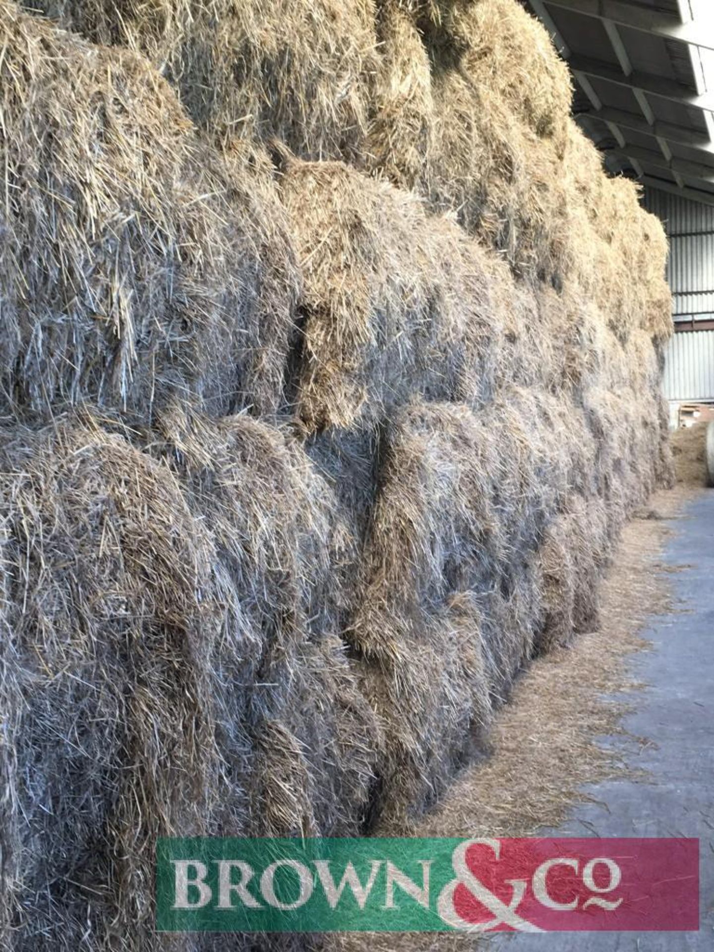 270 No. Mini Hesston Bales of 2019 Cut Hay - Image 2 of 6