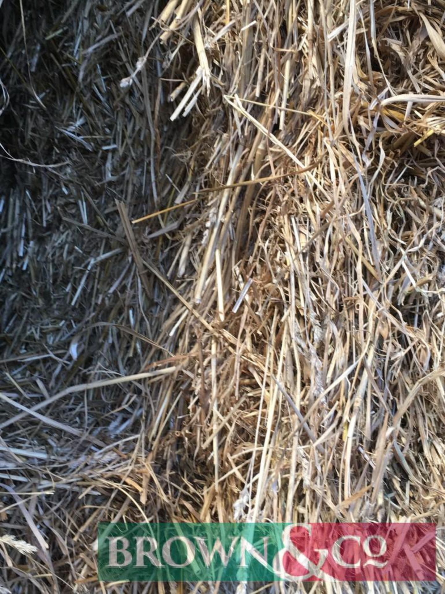 270 No. Mini Hesston Bales of 2019 Cut Hay - Image 4 of 6