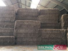 270 No. Mini Hesston Bales of 2019 Cut Hay