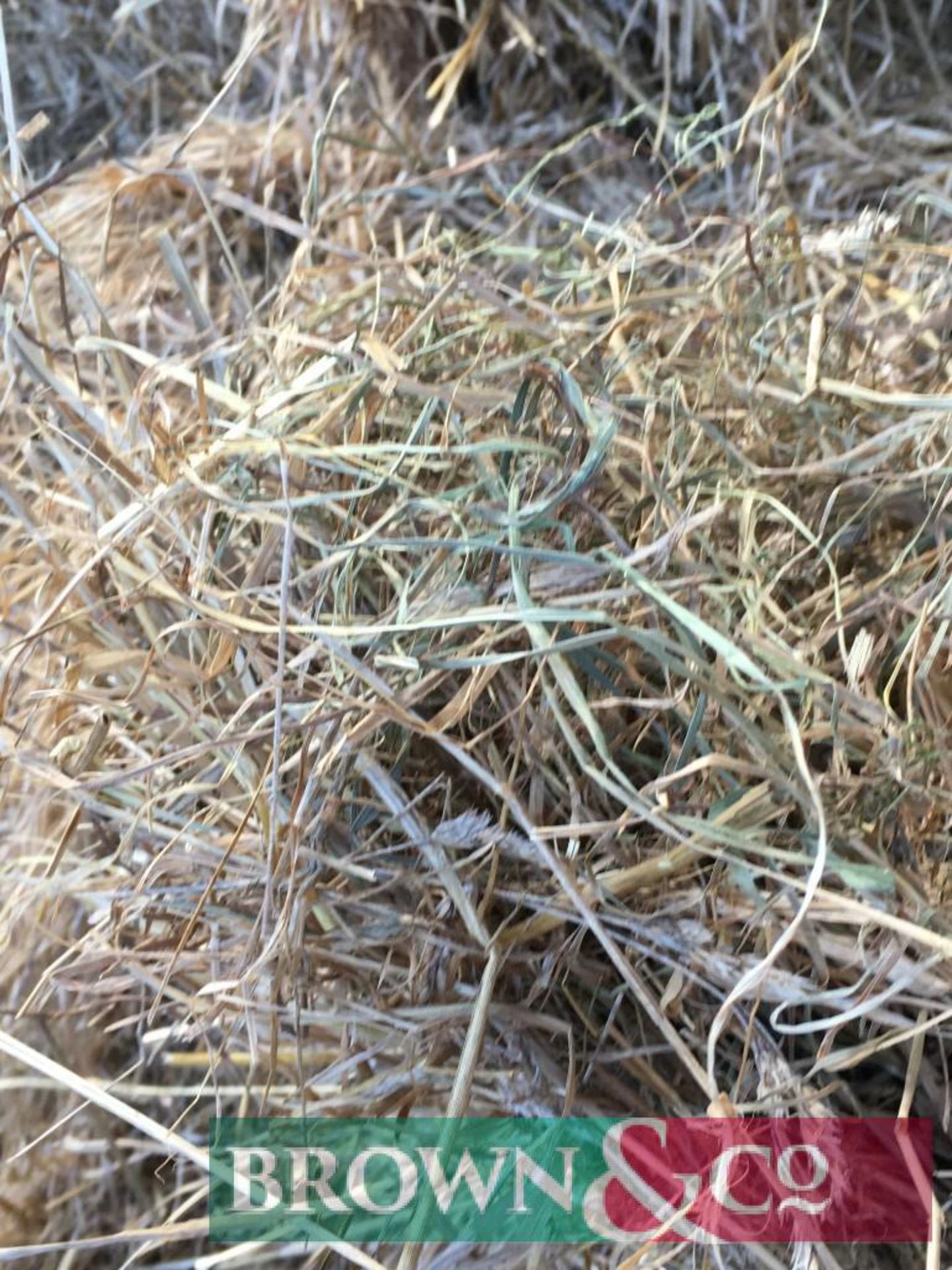 270 No. Mini Hesston Bales of 2019 Cut Hay - Image 5 of 6