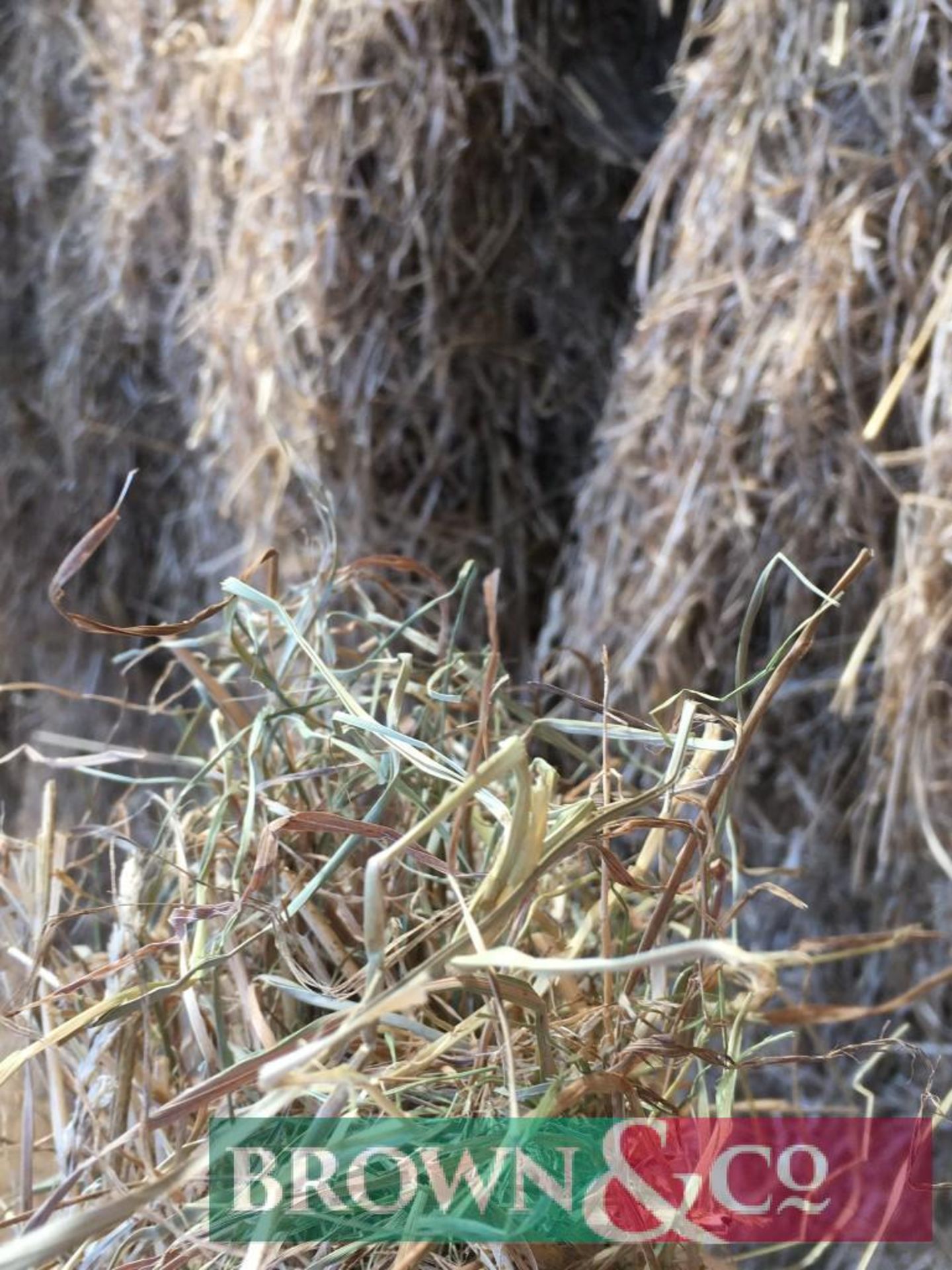 270 No. Mini Hesston Bales of 2019 Cut Hay - Image 3 of 6