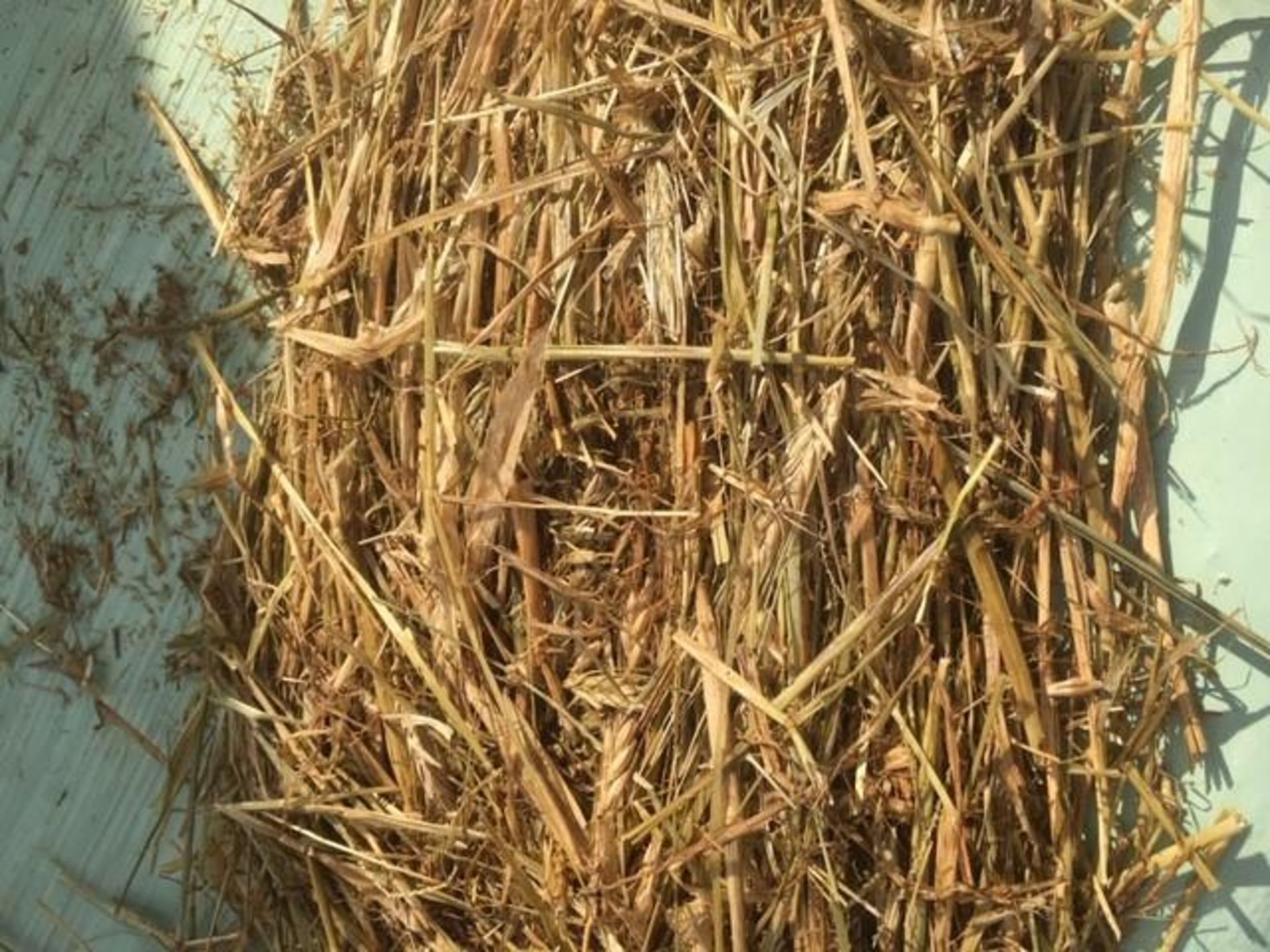 Wholecrop Barley/Grass Silage 2020 - Image 5 of 5