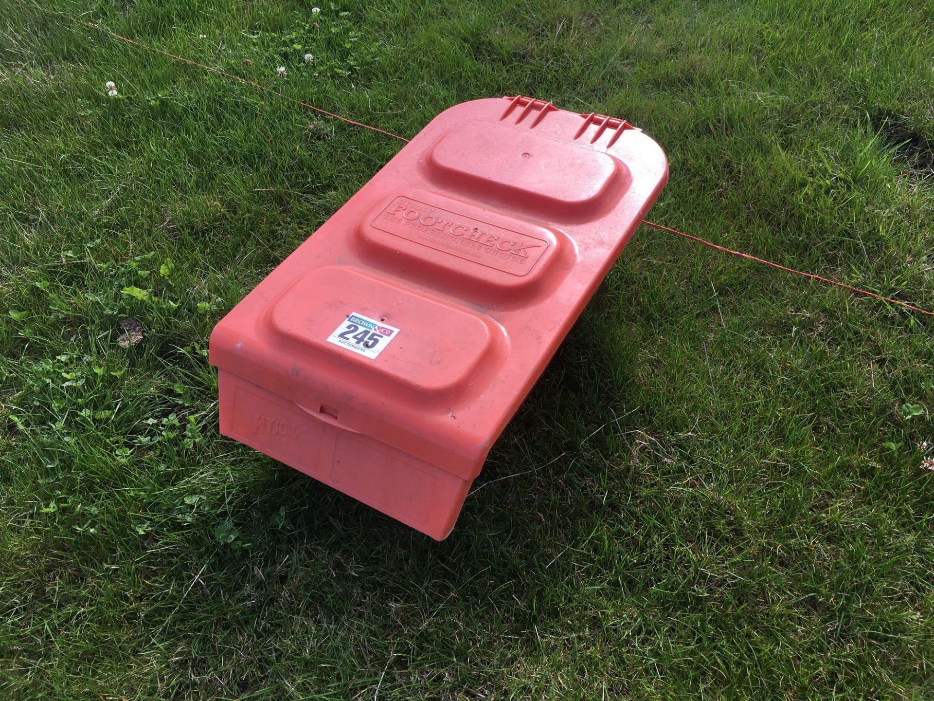 *Plastic sheep footbath