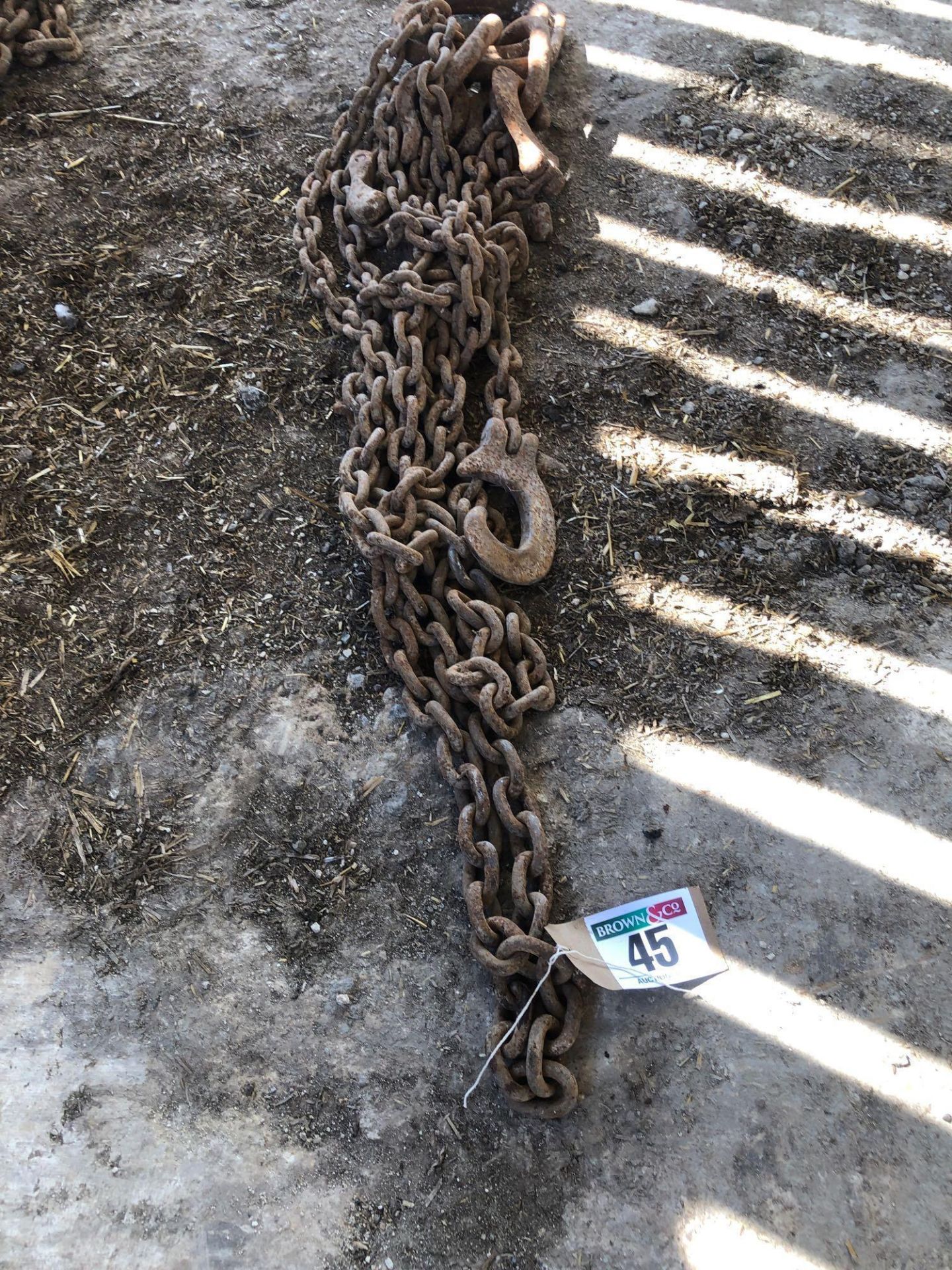 Lifting Chain