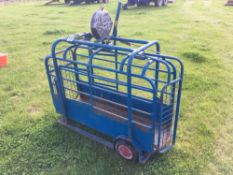 Sheep weighing scales