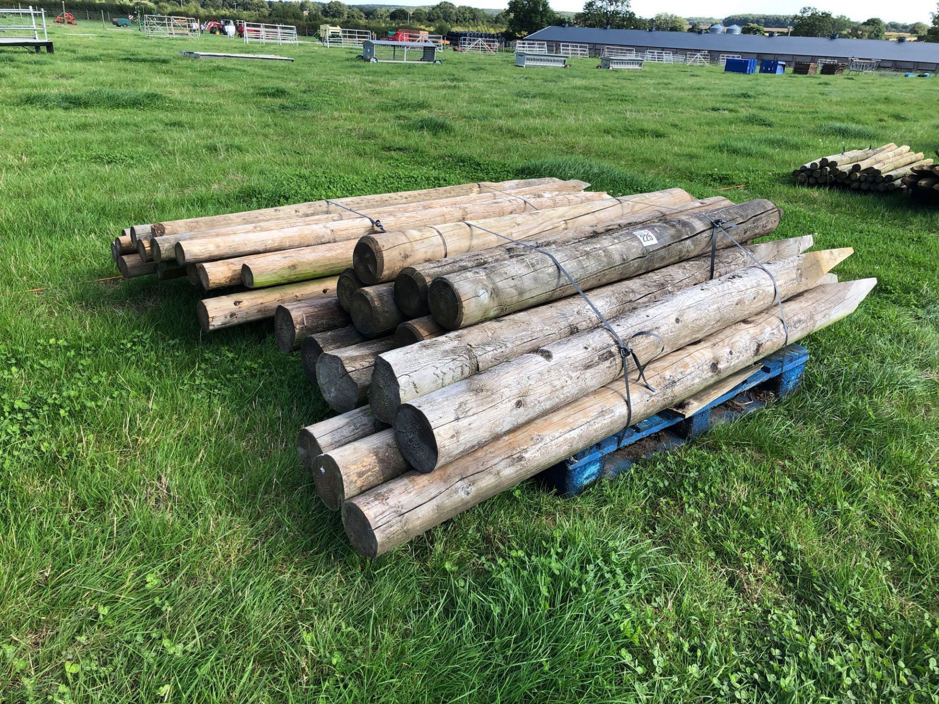 Quantity of wooden posts