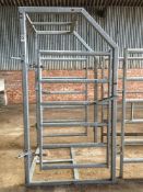 IAE galvanised cattle handling system, c/w vet box and a full set of galvanised gates