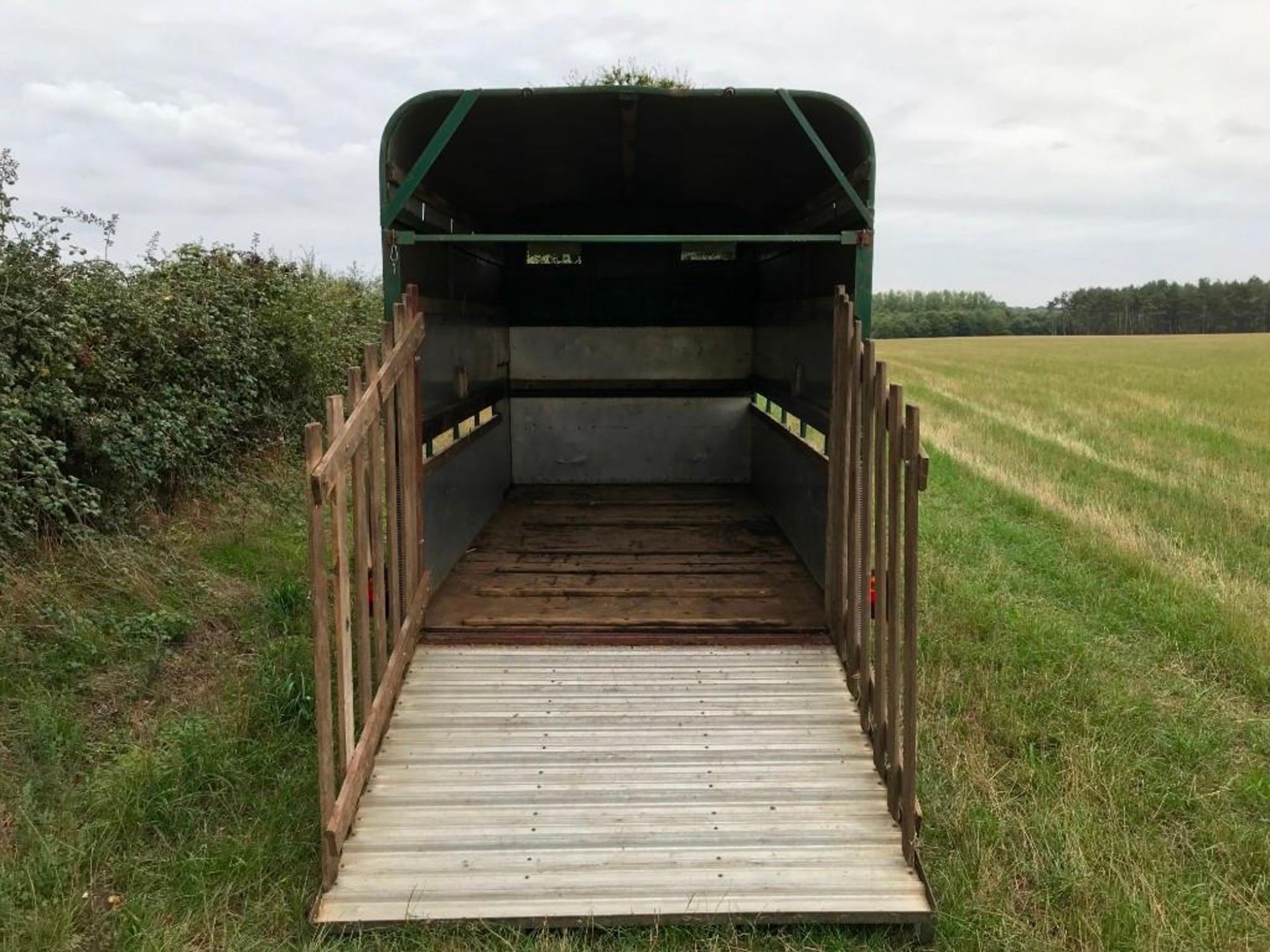 Ifor Williams Cattle Trailer, Wooden Floor - Image 4 of 5