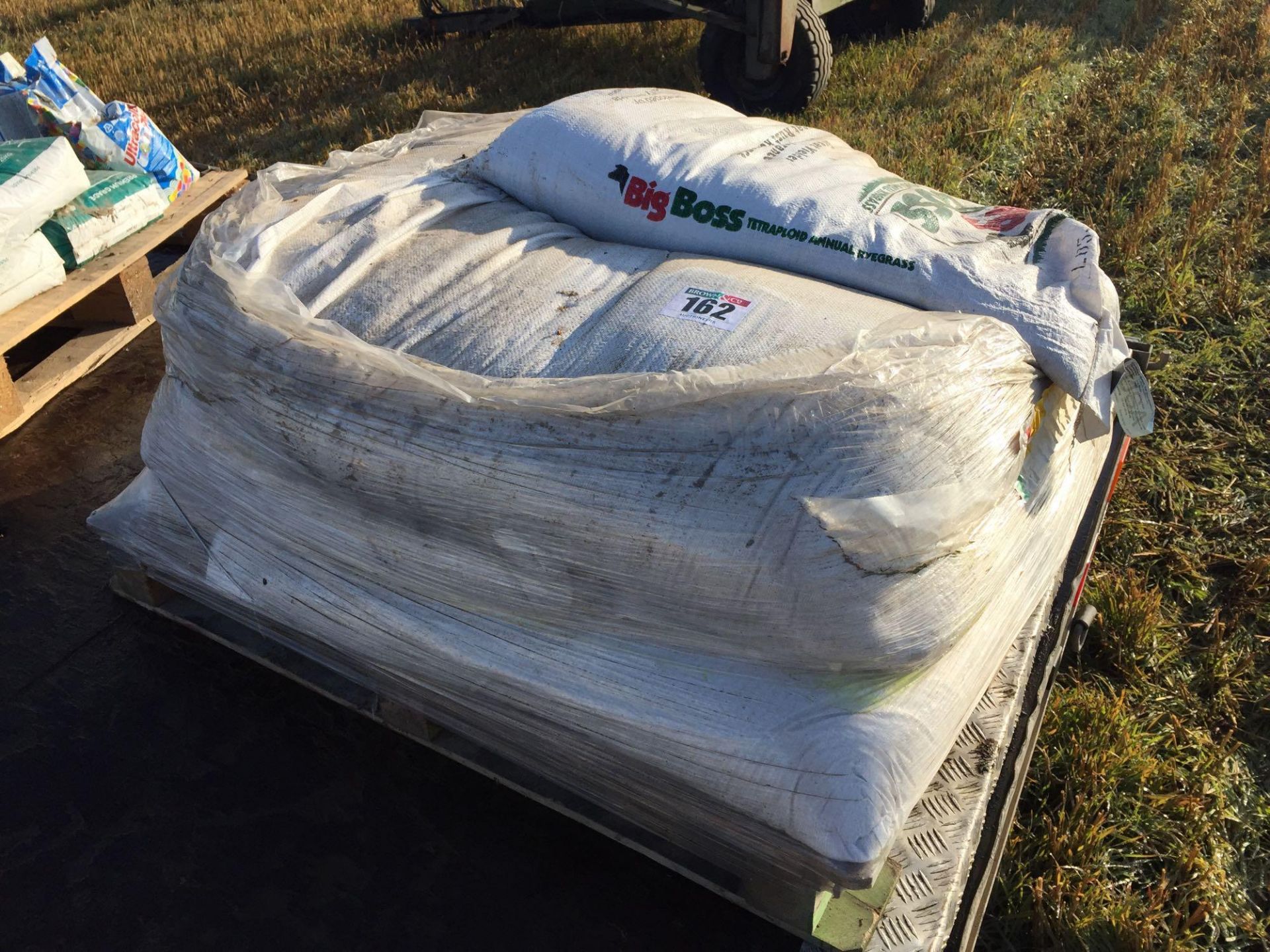 Quantity of rye grass seed