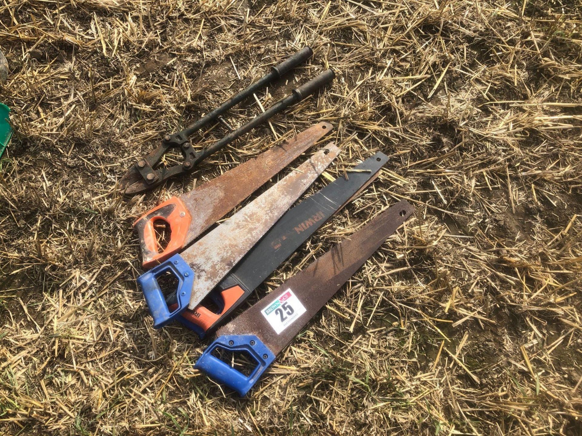 Quantity hand saws and bolt croppers