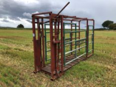 Handling crush for cattle race with locking yolk