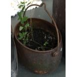 An iron garden planter, with loop handle
