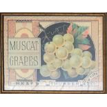 Three framed advertising prints, for HK & FB Thurber & Co. New York 'Blueberries', 'Muscat Grapes'