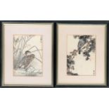 Two Japanese pen and ink wash paintings of birds, a Snipe amongst reeds, 14x20cm; and Crow within