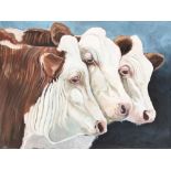 Oil on canvas, study of three Hereford bullocks, 75x100cm