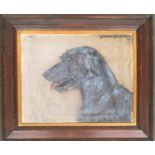 Portrait of a lurcher, oil on canvas, dated 1920, top right reading 'Goldborough...?', 40x50cm