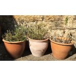 Three terracotta plant pots, 40cmD, 36cmD and 30cmD
