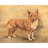 Alice Mary Burton (1893-1968), study of a corgi, oil on artist's board, signed and dated 1939