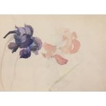 Rowland Hilder (1905-1993) Study of Irises, watercolour over pencil, 27cm x 38cm