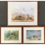 Three colour prints after Trudi Finch, the larher 27.5x38cm, the two smaller each 17x24.5cm