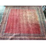 A large square West Persian carpet, on a red ground, 320x300cm