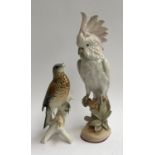 A Karl Ens porcelain bird (af), 26.5cmH together with a porcelain cockatiel, 41cmH