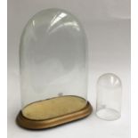 A glass cloche on fitted base, approx. 40cmH; together with one other, 17cmH