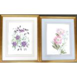 Jane Elliott, two floral watercolour studies, each dated '86, 49x34cm and 45x34cm