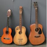 A Hohner Countryman acoustic guitar, together with two others (3)