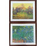 A pair of framed Vincent Van Gogh prints, 'Les Irises', 39.5x49.5, and 'Paysage Ensoleille', 39.