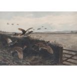 By and after Archibald Thorburn (1860-1935), Partridge in flight, hand coloured artists proof,