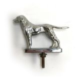 A Lejeune chromium plated car mascot in the form of a standing labrador, stamped to base,