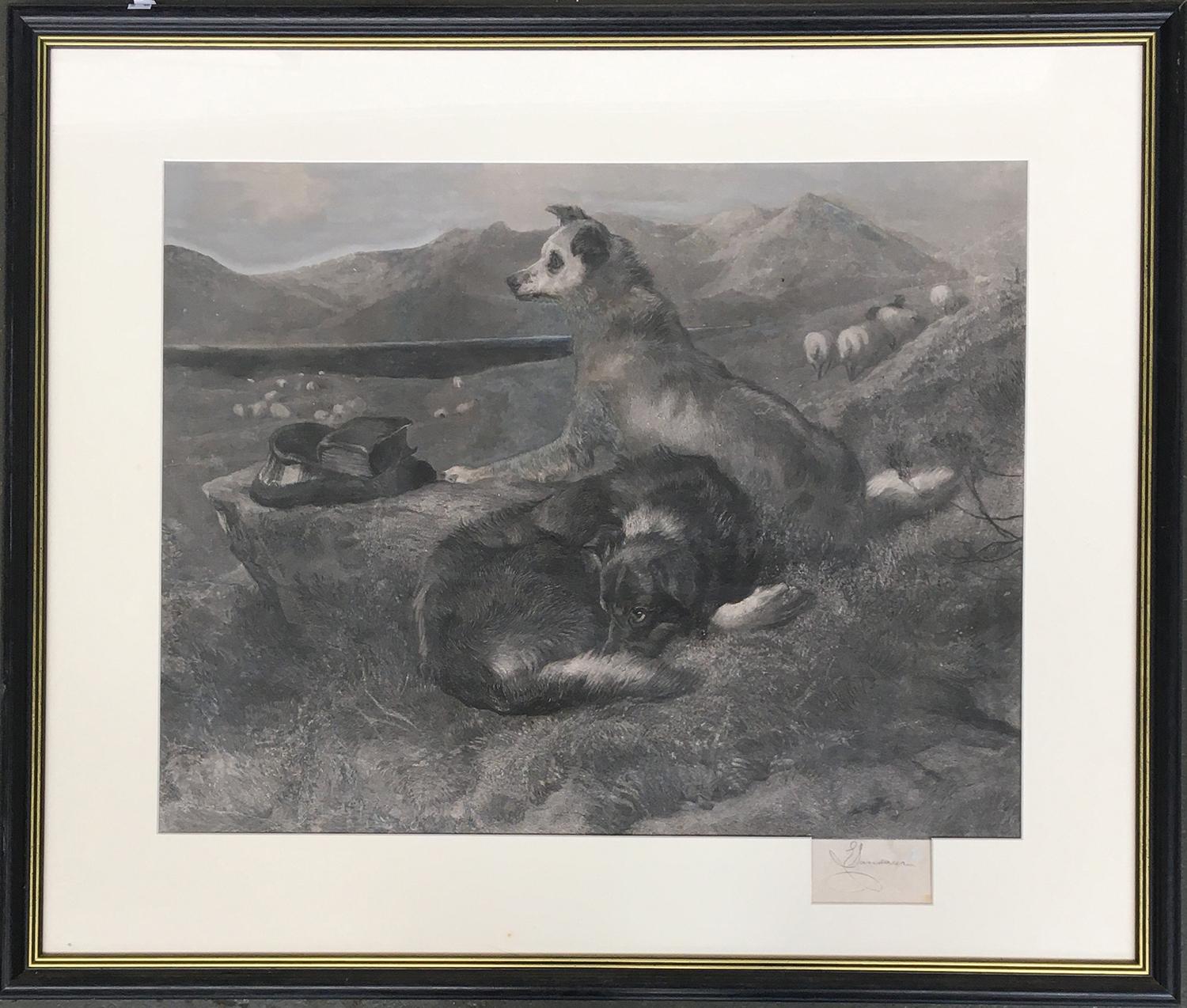 After Landseer, a 19th century engraving of two sheepdogs, 48x61cm