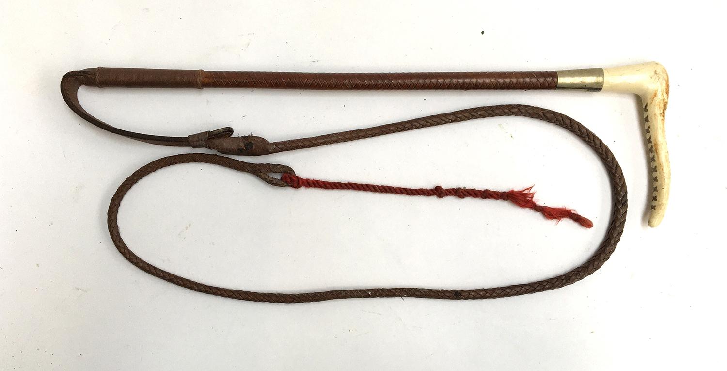 A child or ladies hunting whip with metal collar, antler handle, and 3 1/2 thong and lash
