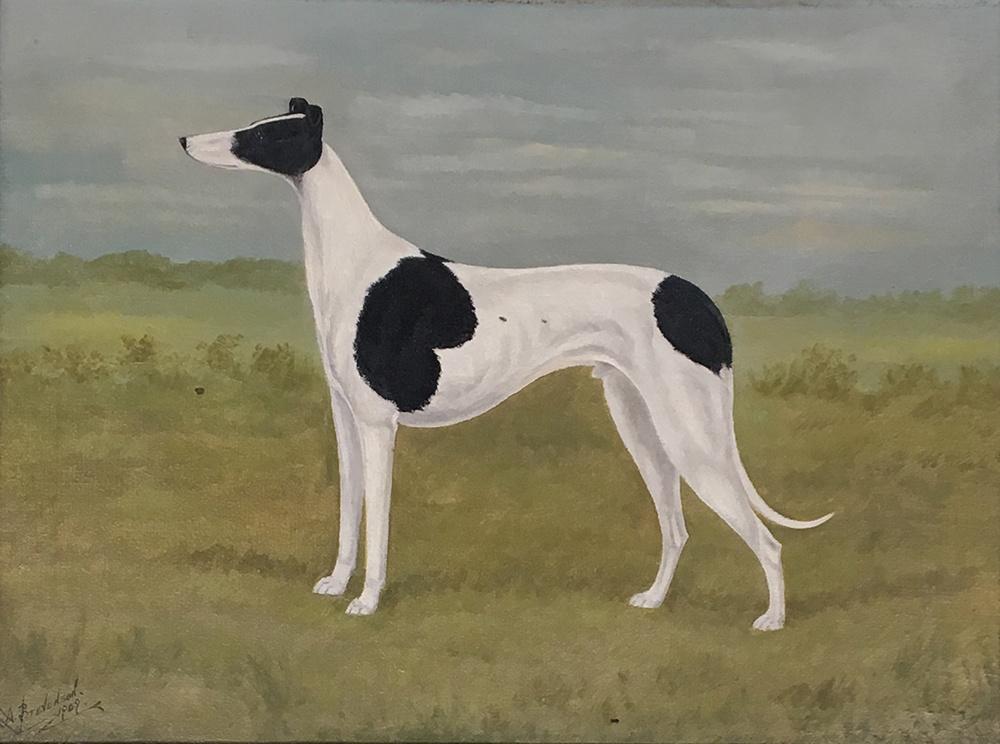 A Stevenson, portrait of a greyhound in landscape - 'Stately Stella', oil on canvas, signed and