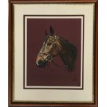 Dennis Loye (?), 20th century bodycolour on paper, horse's head with bridle, signed indistinctly,