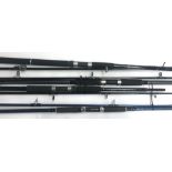 Various sea rods including a Tempest 12' beachcaster; and Abu Garcia 12' beach rod; a Silstar MX3625