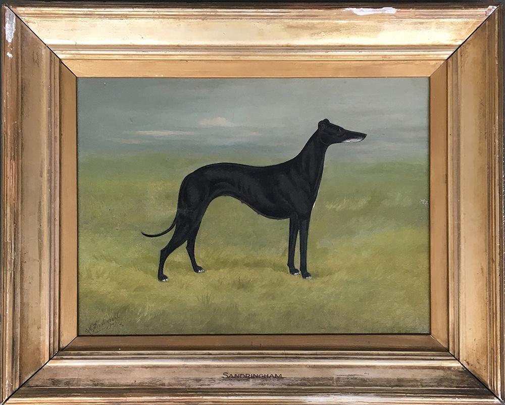 A Stevenson, portrait of a greyhound in landscape - 'Sandringham', oil on canvas, signed and dated - Bild 2 aus 2