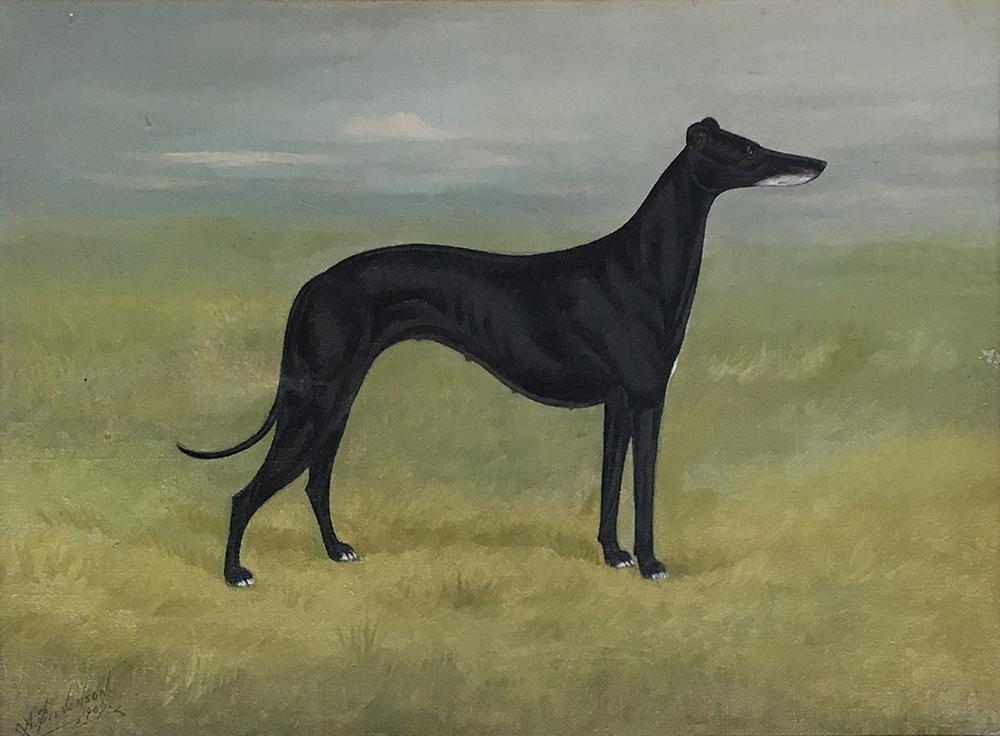 A Stevenson, portrait of a greyhound in landscape - 'Sandringham', oil on canvas, signed and dated