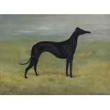 A Stevenson, portrait of a greyhound in landscape - 'Sandringham', oil on canvas, signed and dated