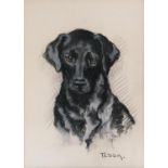 T. Panet, 'Tessa', study of a black labrador, signed and dated 1971, 50x37cm; together with