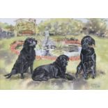 Gillian Harris, study of three black Labradors, watercolour, signed and dated 1989, 36x53cm