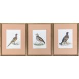 A set of three framed watercolours of gamebirds, signed indistinctly and date 1977, 19x14cm