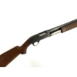 A Squires Bingham 12 bore three shot pump action shotgun, 2 3/4" chamber, Kassnar Imports,