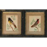 A pair of 19th century bird feather pictures, each 15x20cm