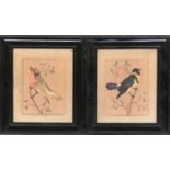 A pair bird feather pictures, depicting a Kalandria and Zacatero, each 22x17cm