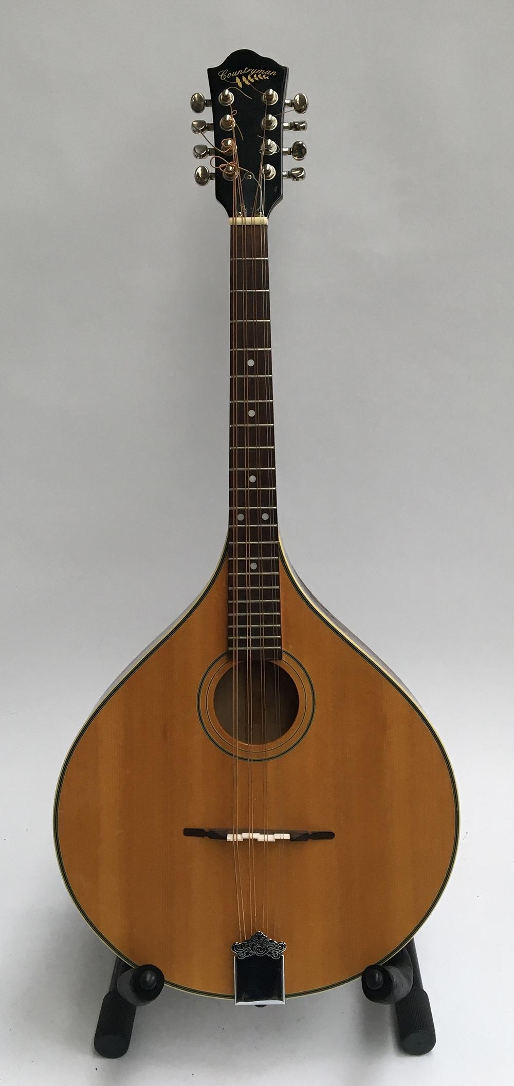 A Countryman octave mandola