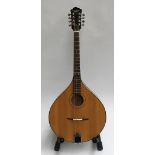 A Countryman octave mandola