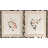 A pair of Oriental botanical flower studies in bamboo frames, 35x35cm each; together with six